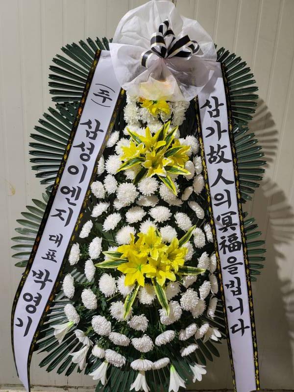 업로드 이미지