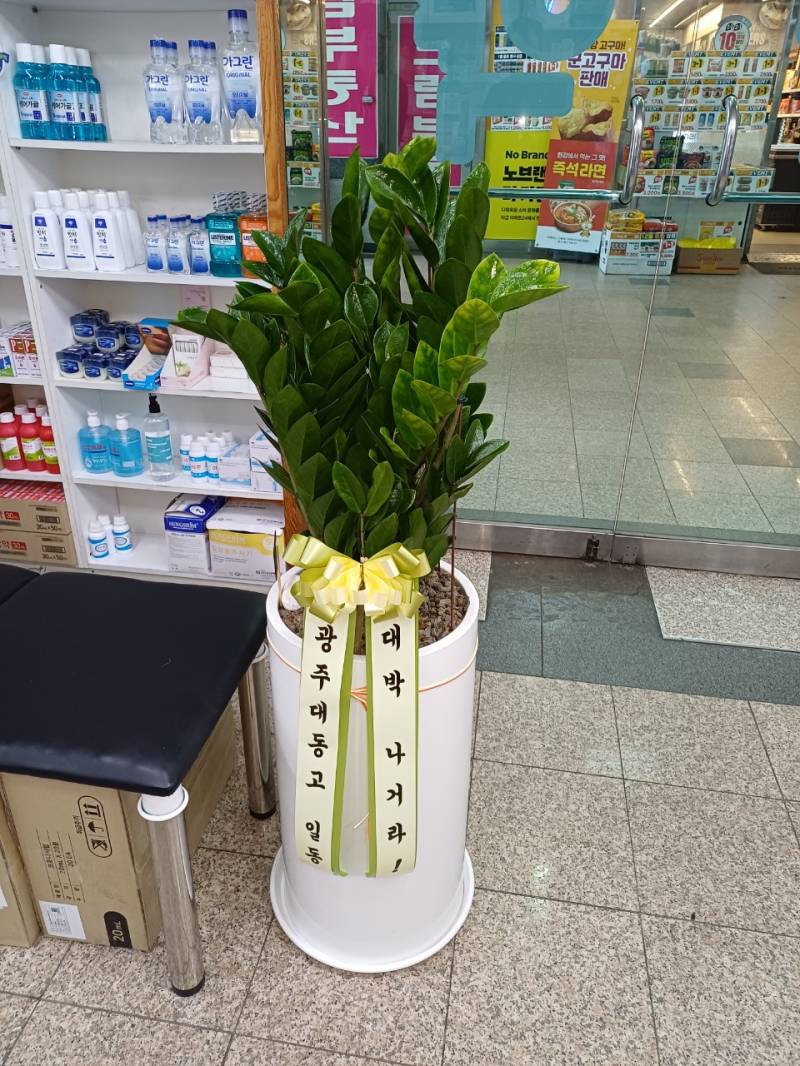 업로드 이미지