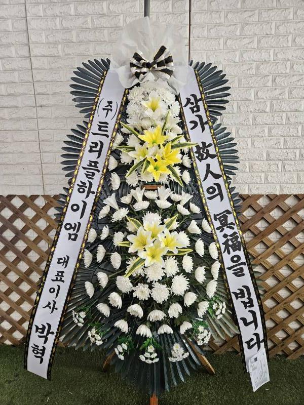 업로드 이미지