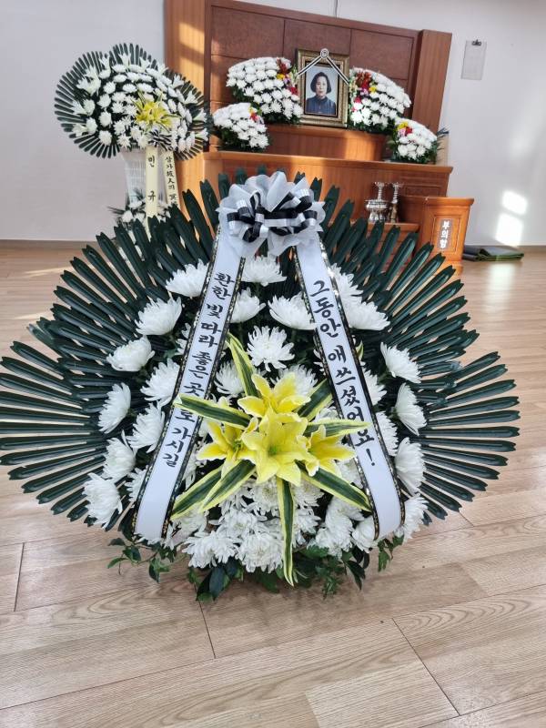 업로드 이미지
