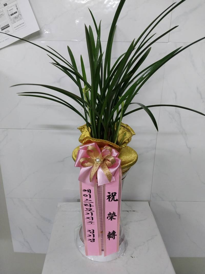 업로드 이미지