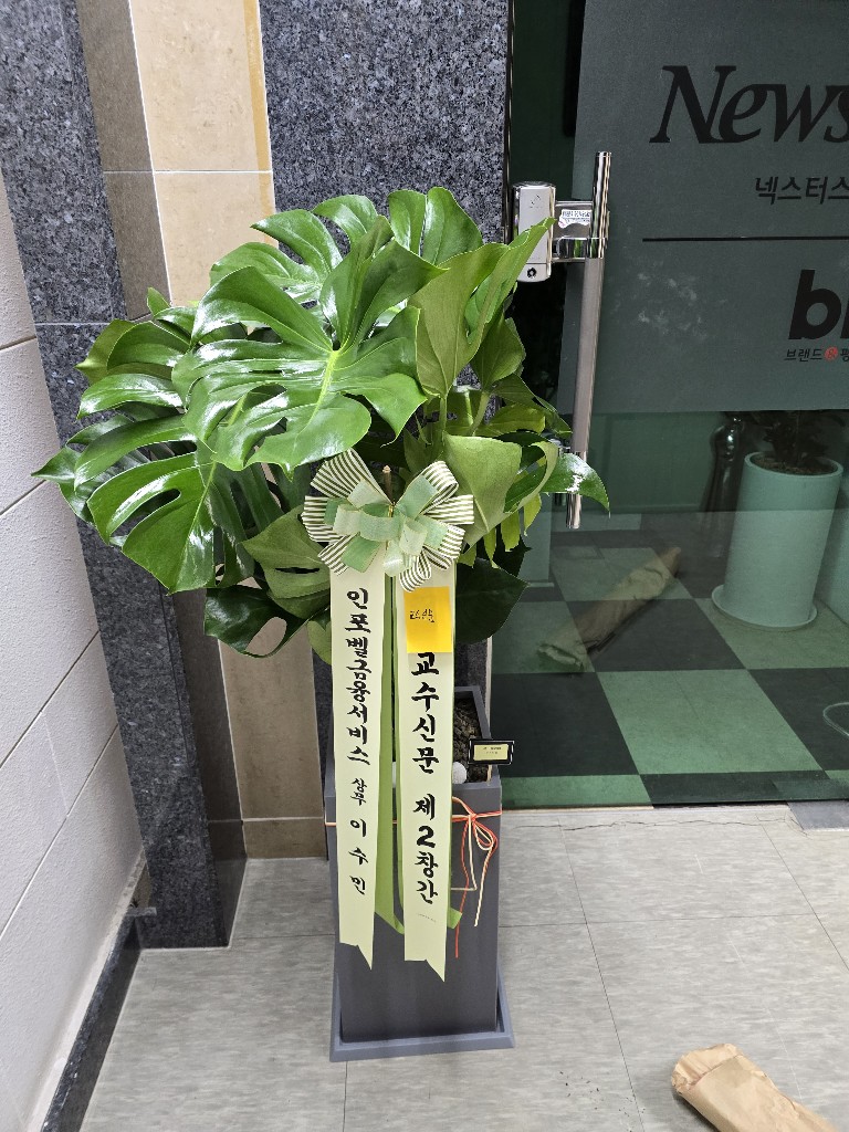 업로드 이미지