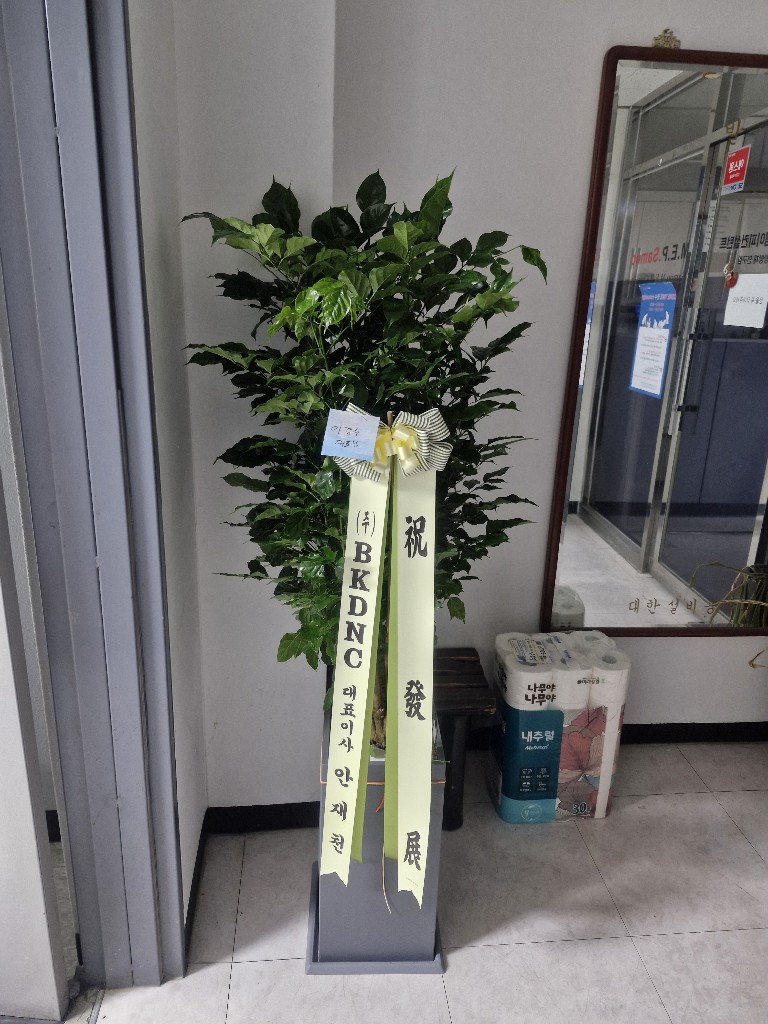 업로드 이미지
