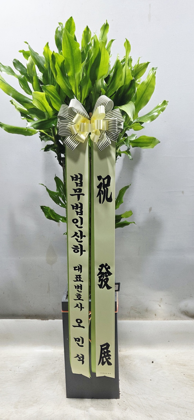 업로드 이미지