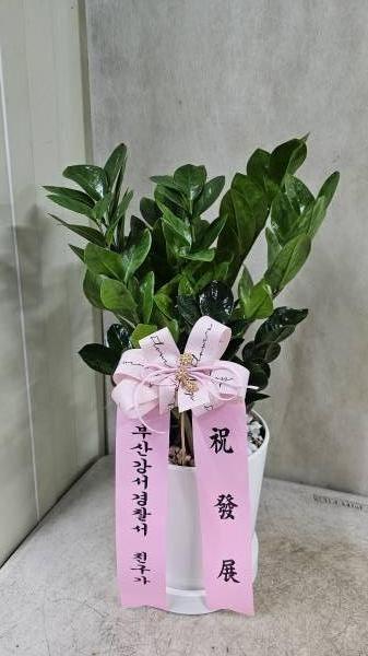 업로드 이미지