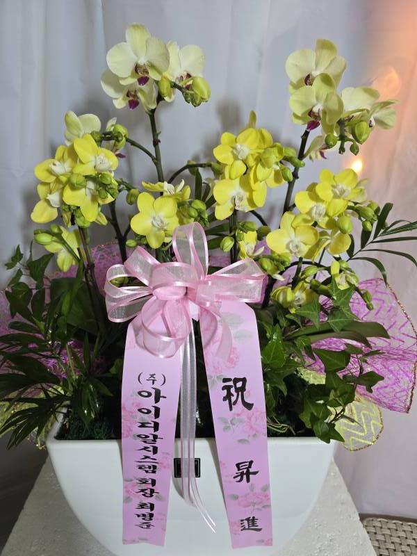 업로드 이미지