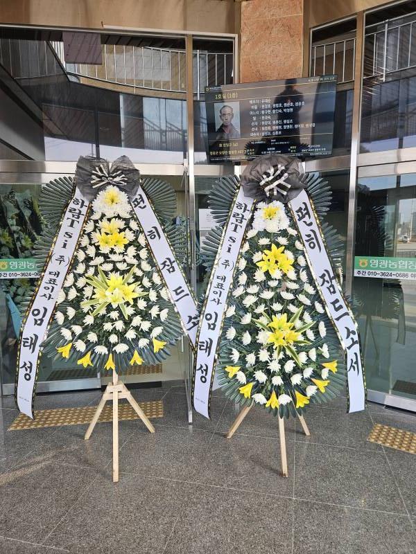 업로드 이미지