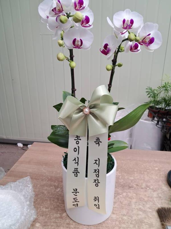 업로드 이미지