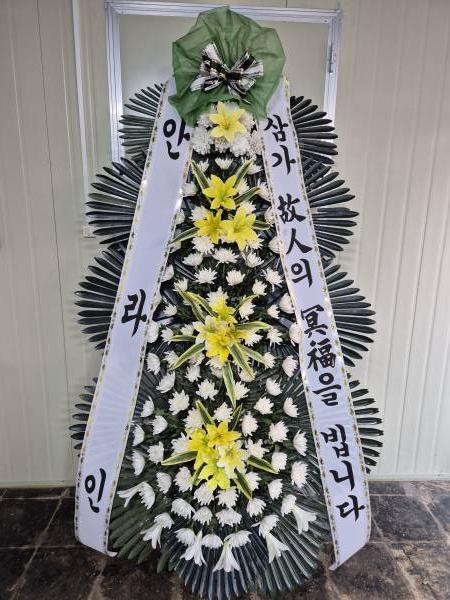 업로드 이미지