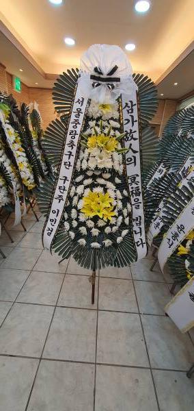 업로드 이미지