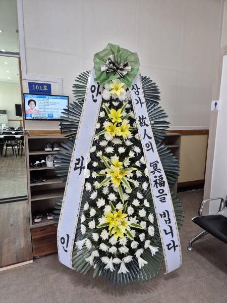업로드 이미지