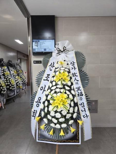 업로드 이미지