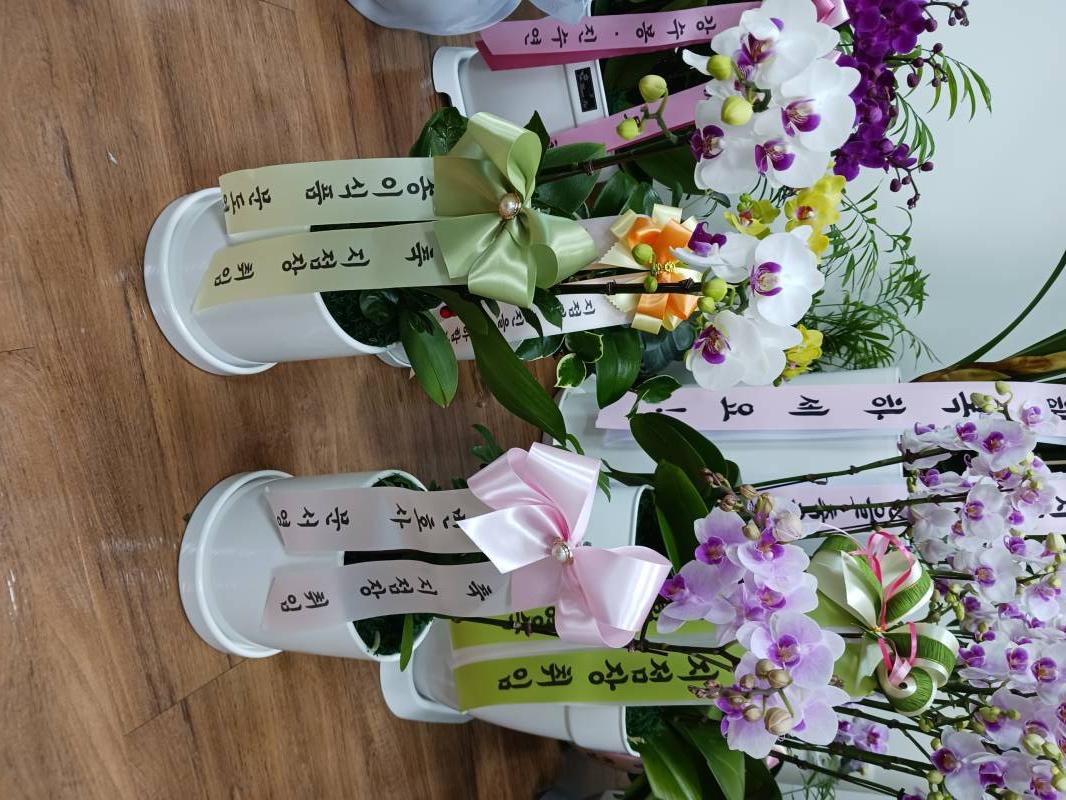 업로드 이미지