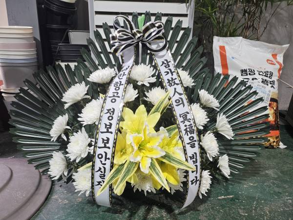 업로드 이미지