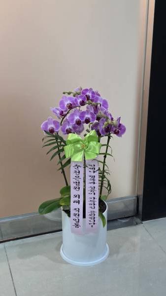 업로드 이미지