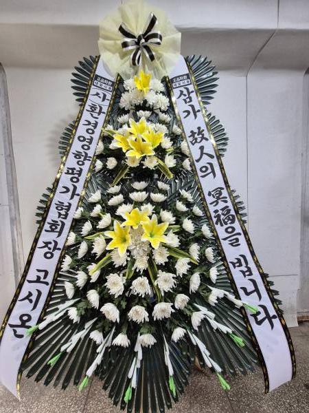 업로드 이미지