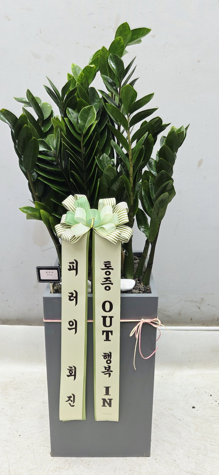 업로드 이미지