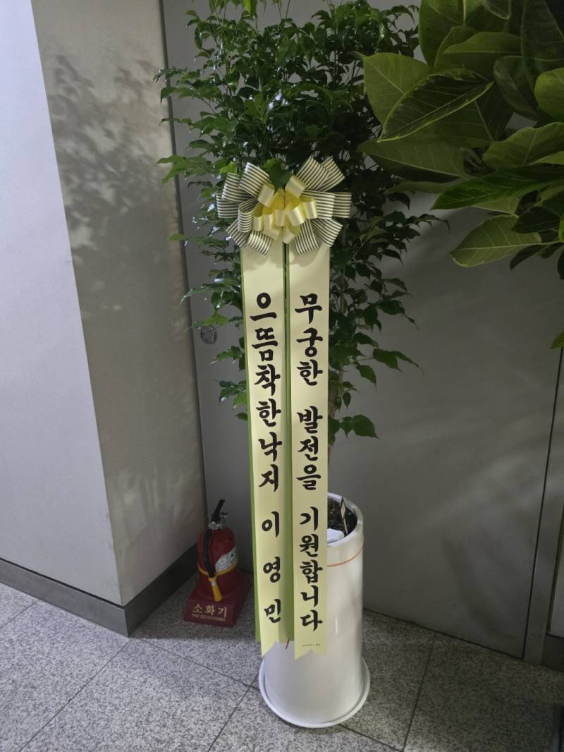 업로드 이미지