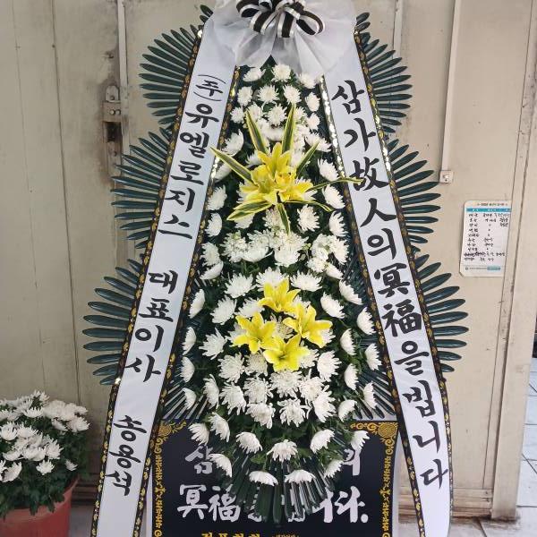 업로드 이미지