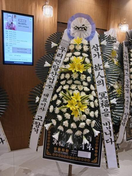업로드 이미지