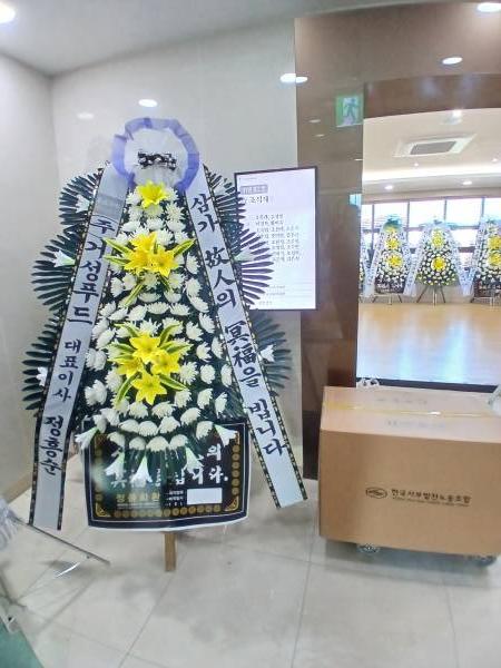 업로드 이미지