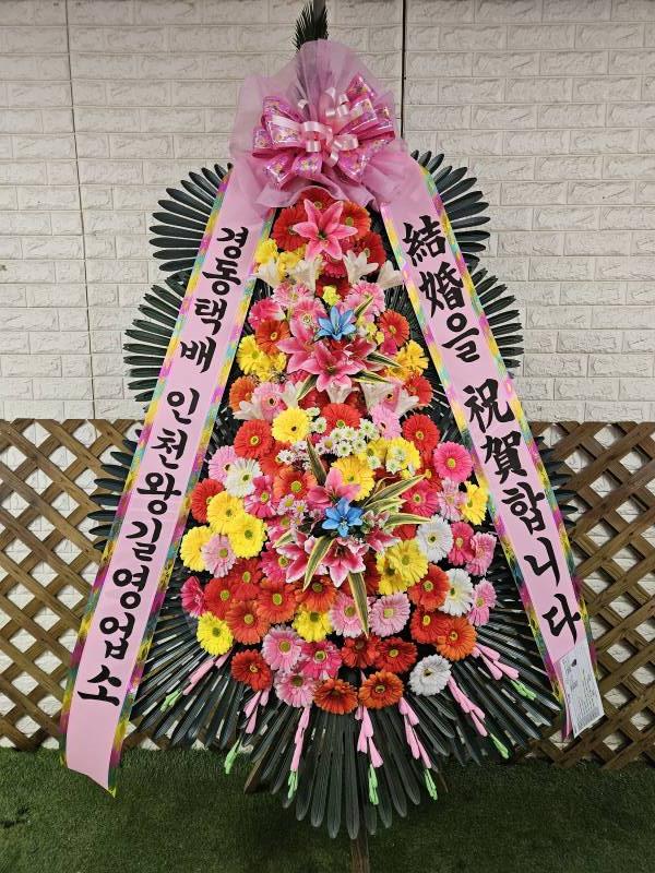 업로드 이미지