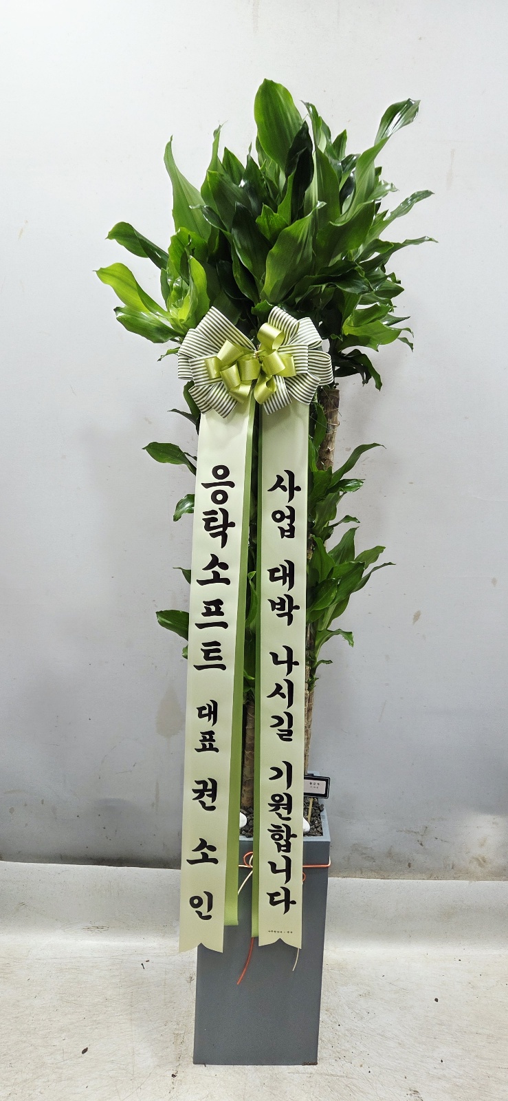 업로드 이미지