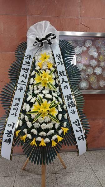 업로드 이미지