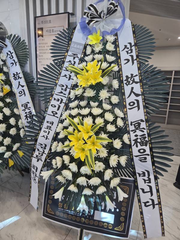 업로드 이미지