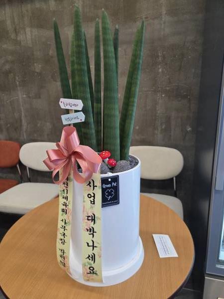 업로드 이미지