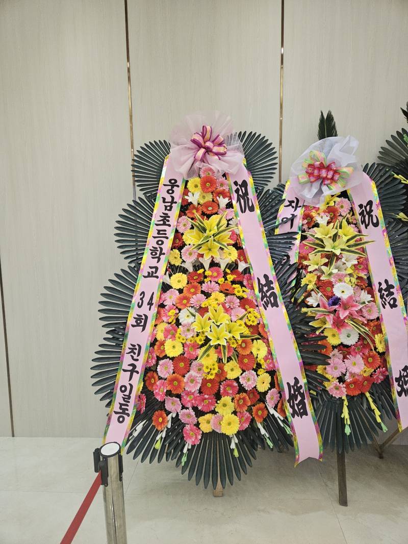 업로드 이미지