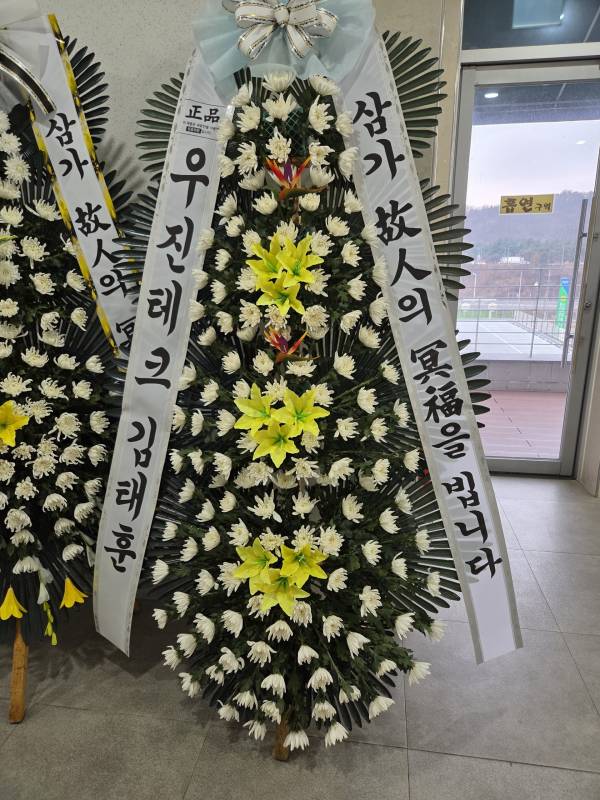 업로드 이미지
