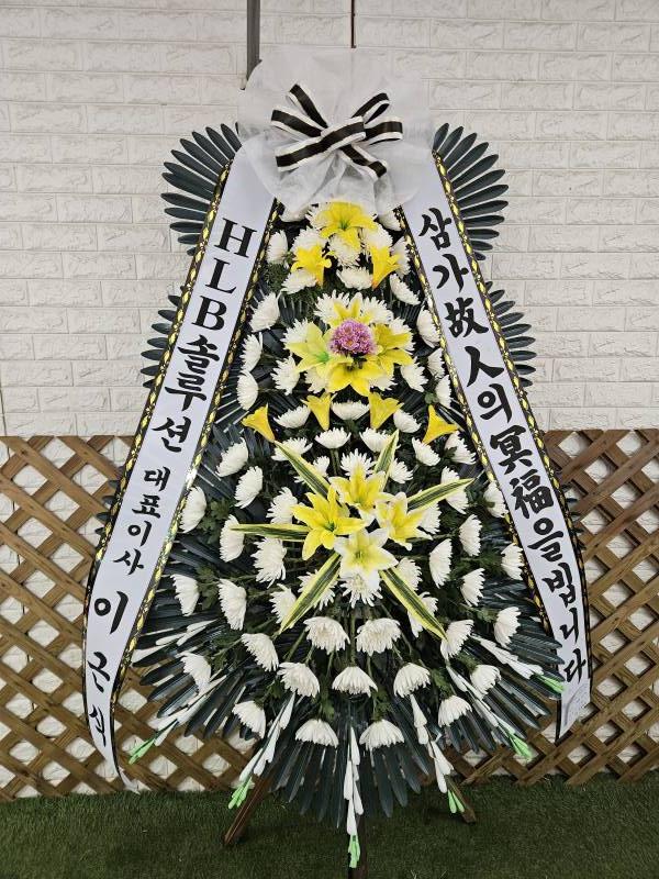 업로드 이미지