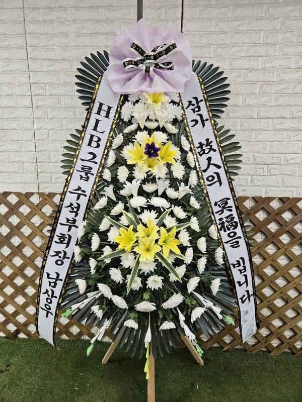 업로드 이미지