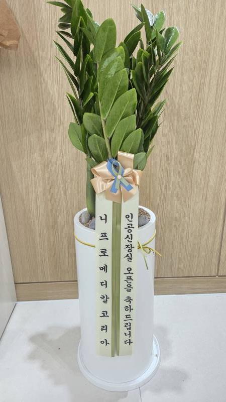 업로드 이미지