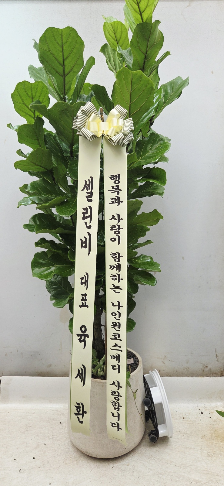 업로드 이미지