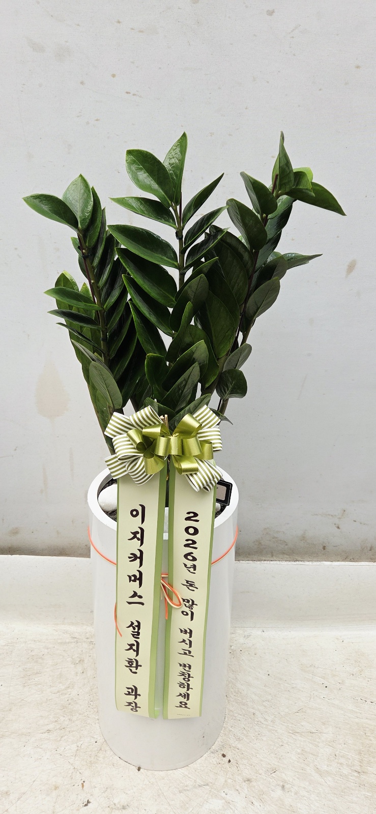 업로드 이미지