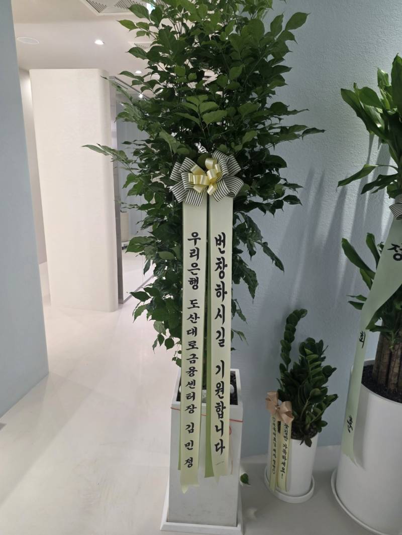 업로드 이미지
