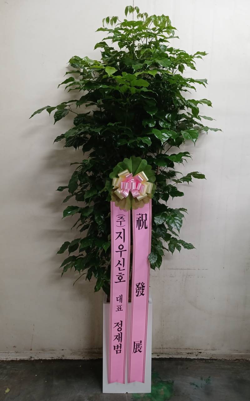 업로드 이미지