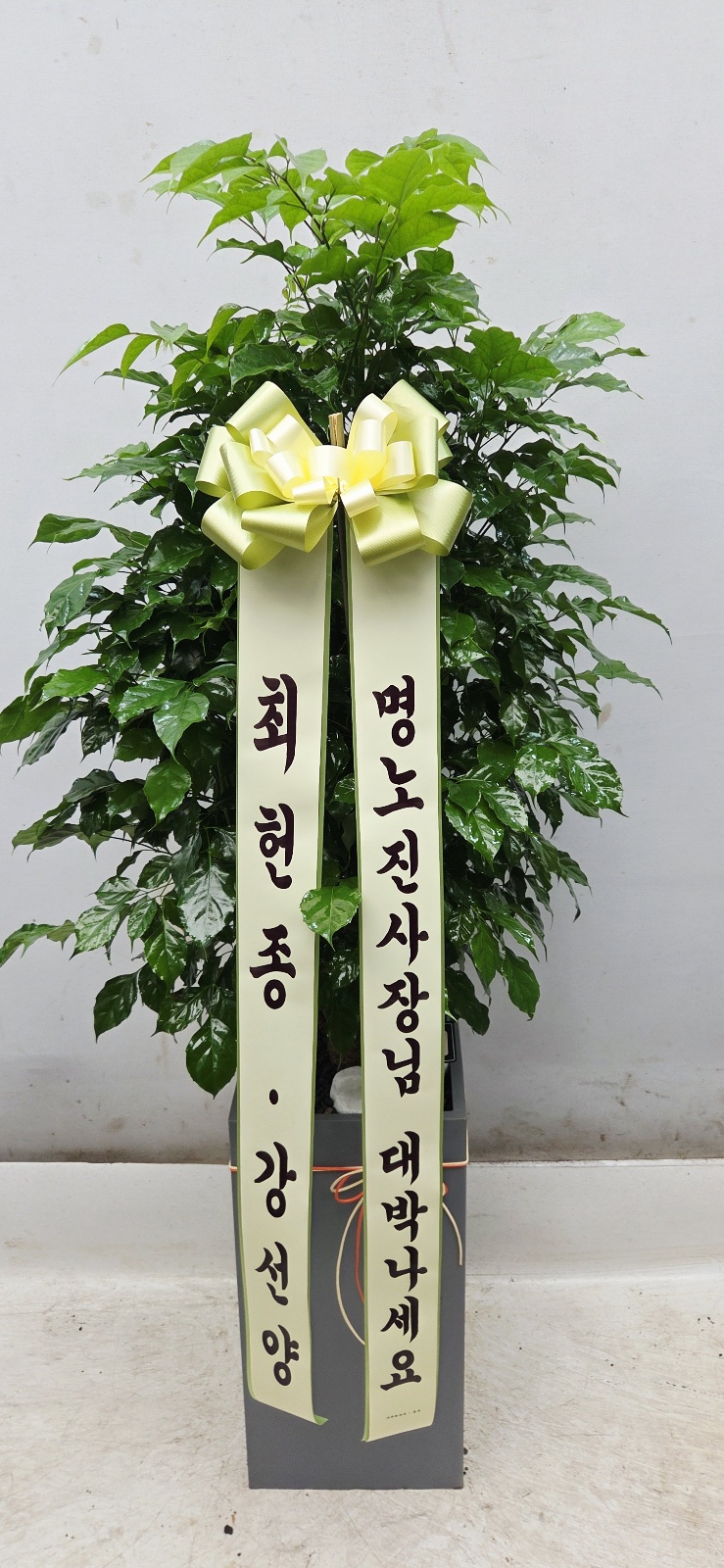 업로드 이미지