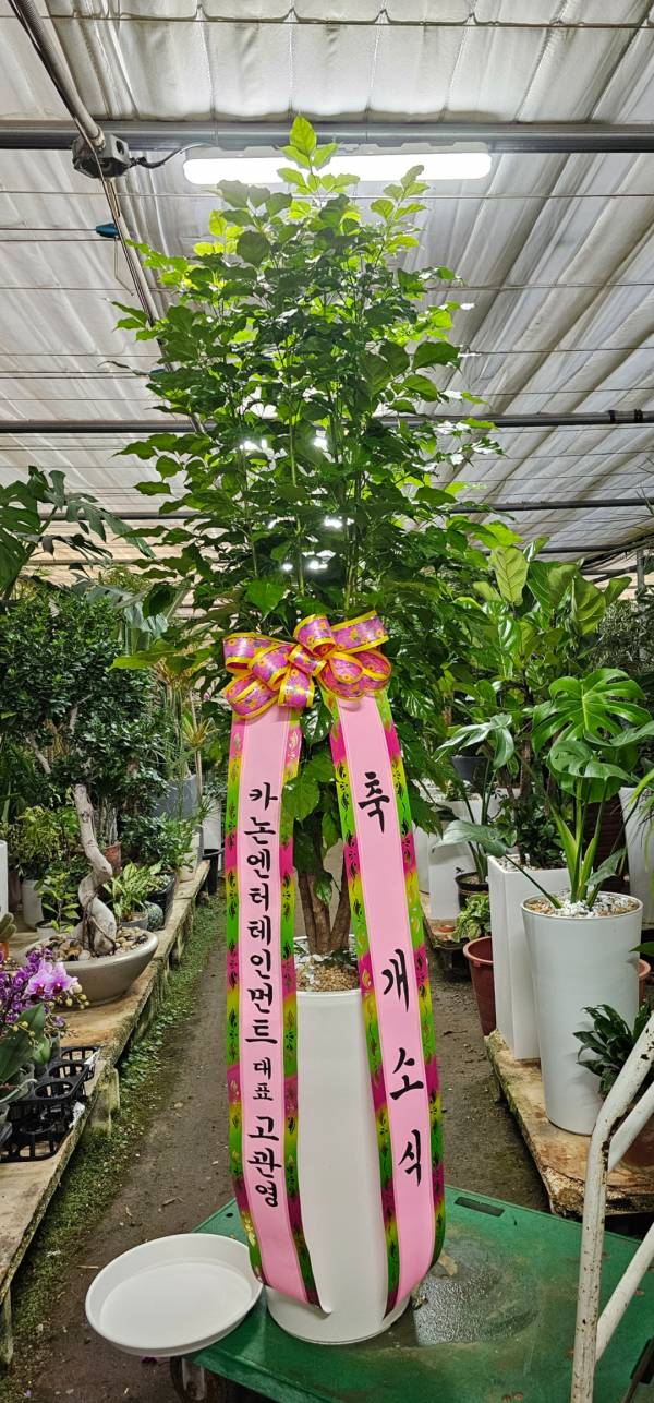 업로드 이미지