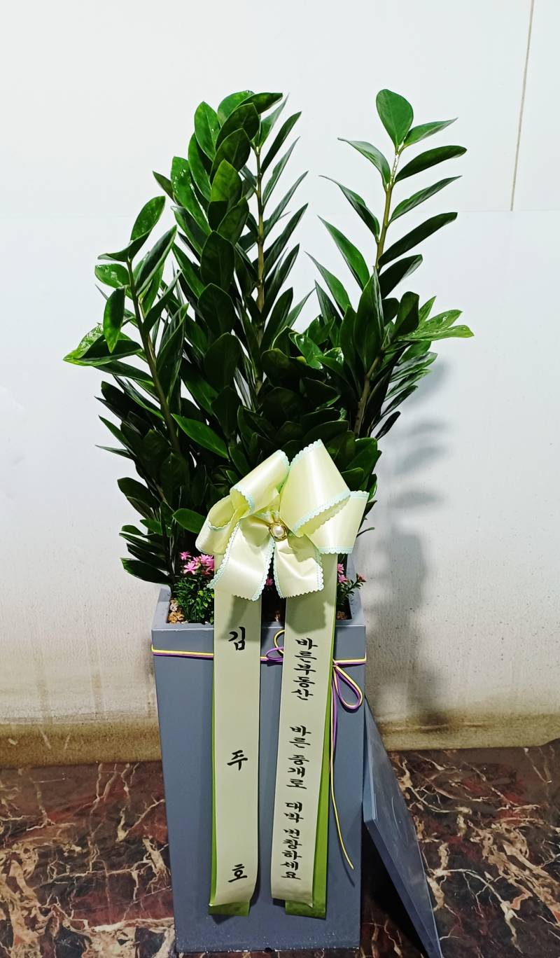 업로드 이미지