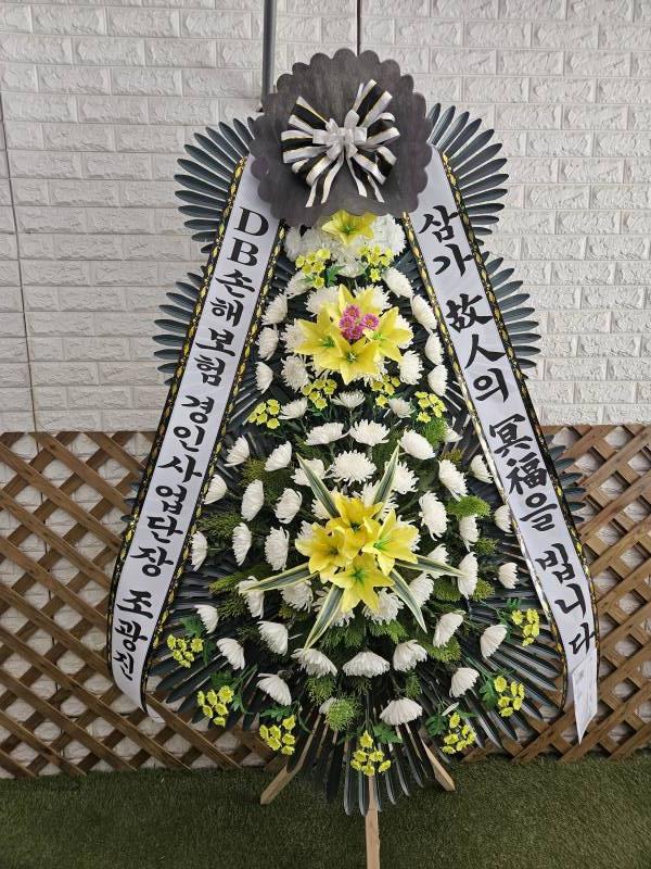 업로드 이미지