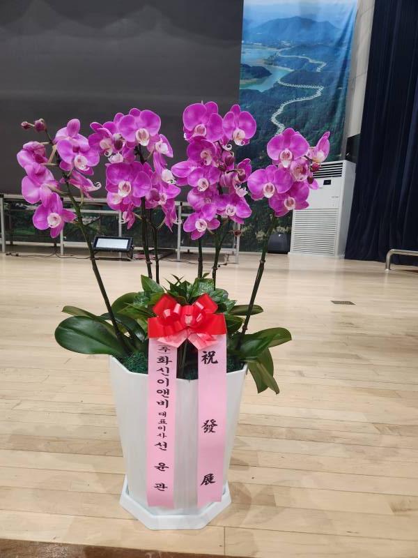 업로드 이미지