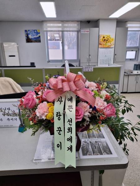 업로드 이미지