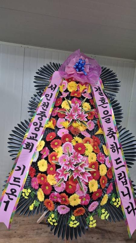 업로드 이미지