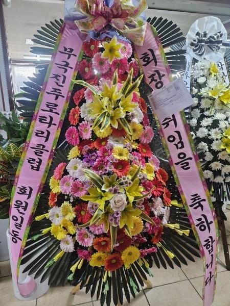업로드 이미지