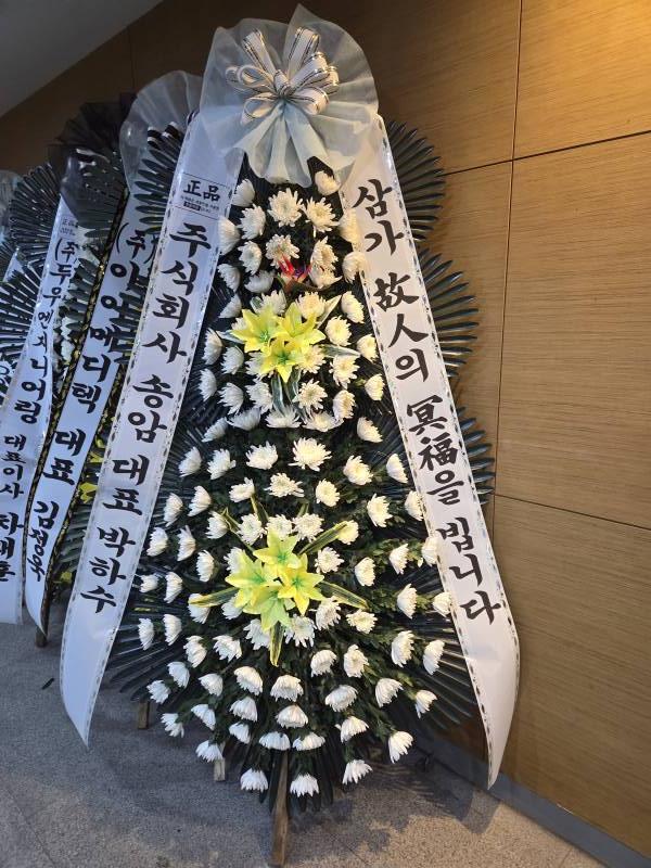 업로드 이미지