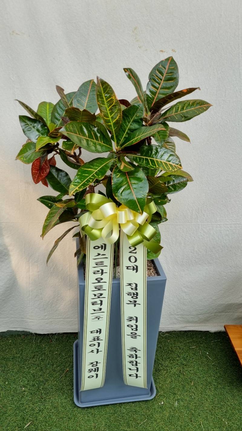 업로드 이미지