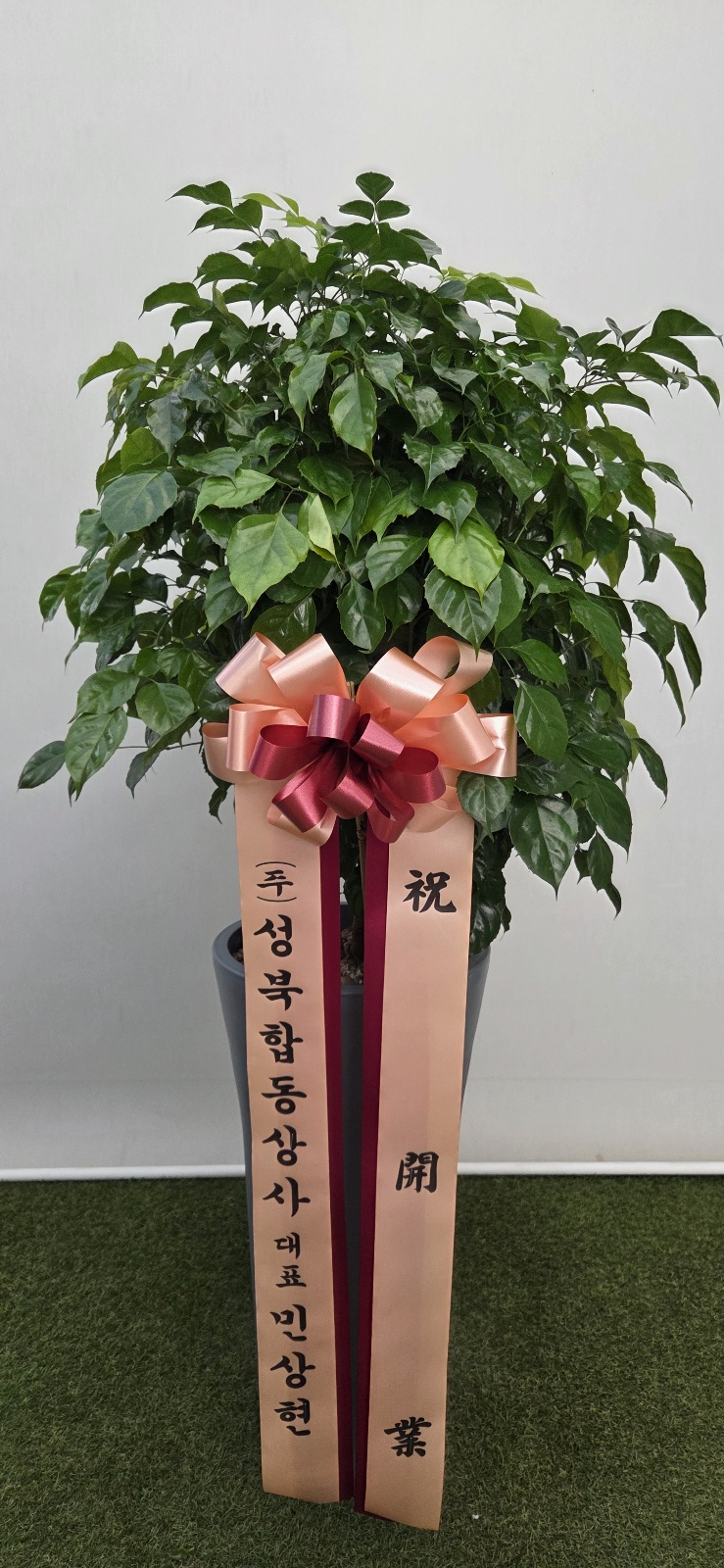 업로드 이미지